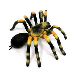 Figurka Pavouk Sklípkan smithův 11 cm